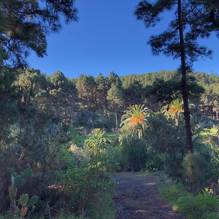 Monte Frio De Tenerife La Guancha Luaran gambar