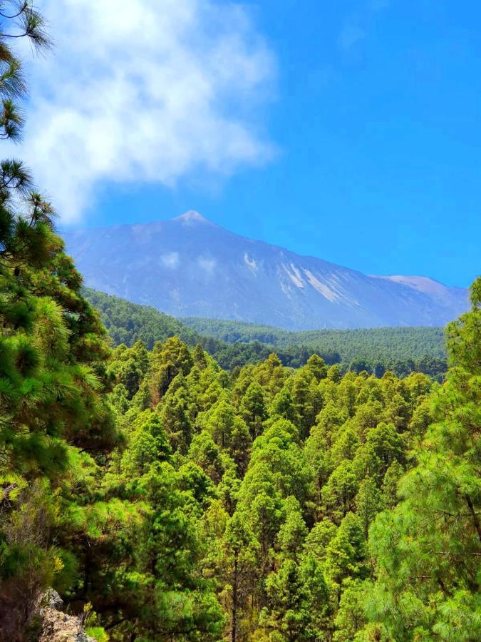 Monte Frio De Tenerife La Guancha Luaran gambar