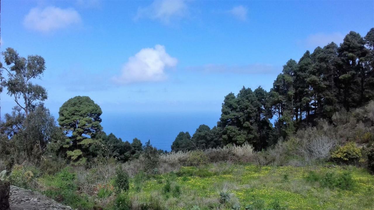 Monte Frio De Tenerife La Guancha Luaran gambar